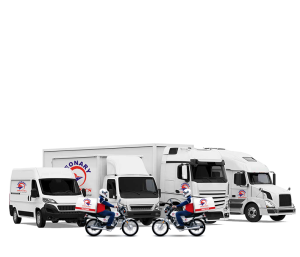 Leonary delivery fleet vehicles