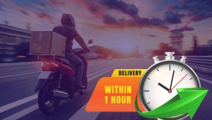 Leonary Express Delivery